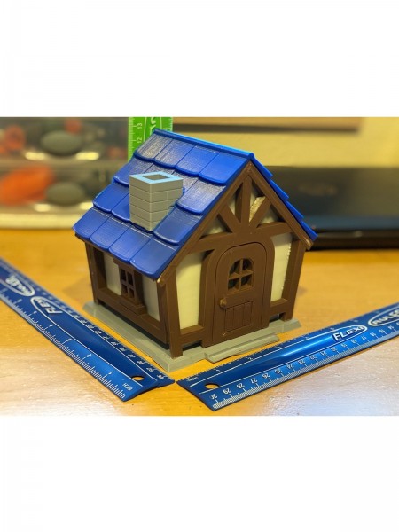 Animal Crossing Başlangıç Evi