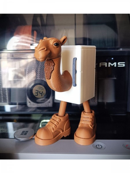 Frigo Camelo İtalian Brainrot