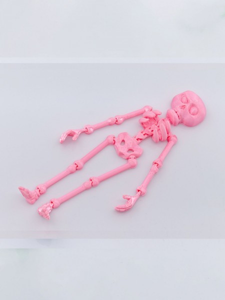 İnsan İskelet Figürlü Hareketli Oyuncak Pembe İnsan İskelet Figürlü Hareketli Oyuncak Pembe